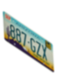 license license